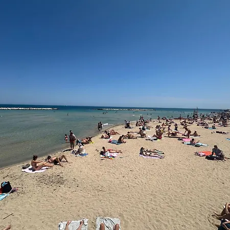 Galia * Bari